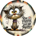 Dream Big Nap Often car coasters